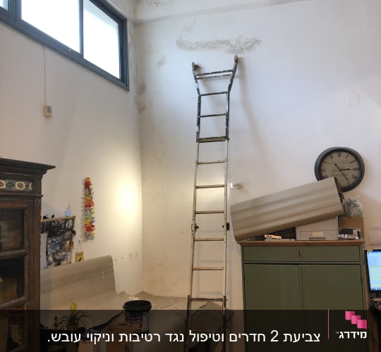 סולם צבוע, פחית צבע ומברשת על שולחן